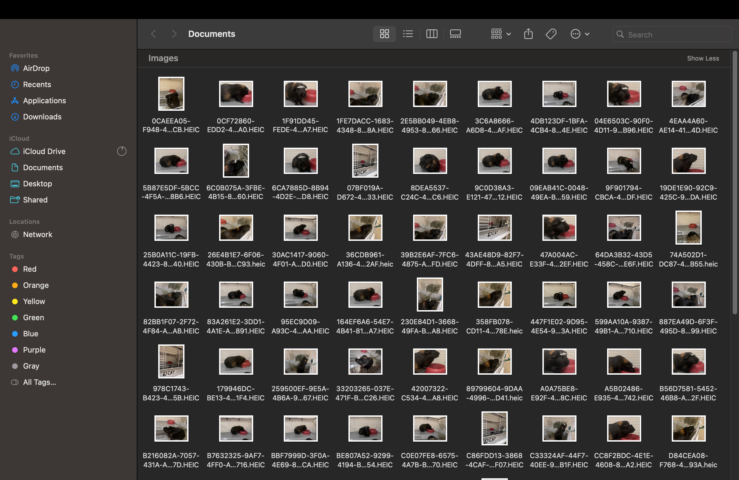 Files in Documents Folder